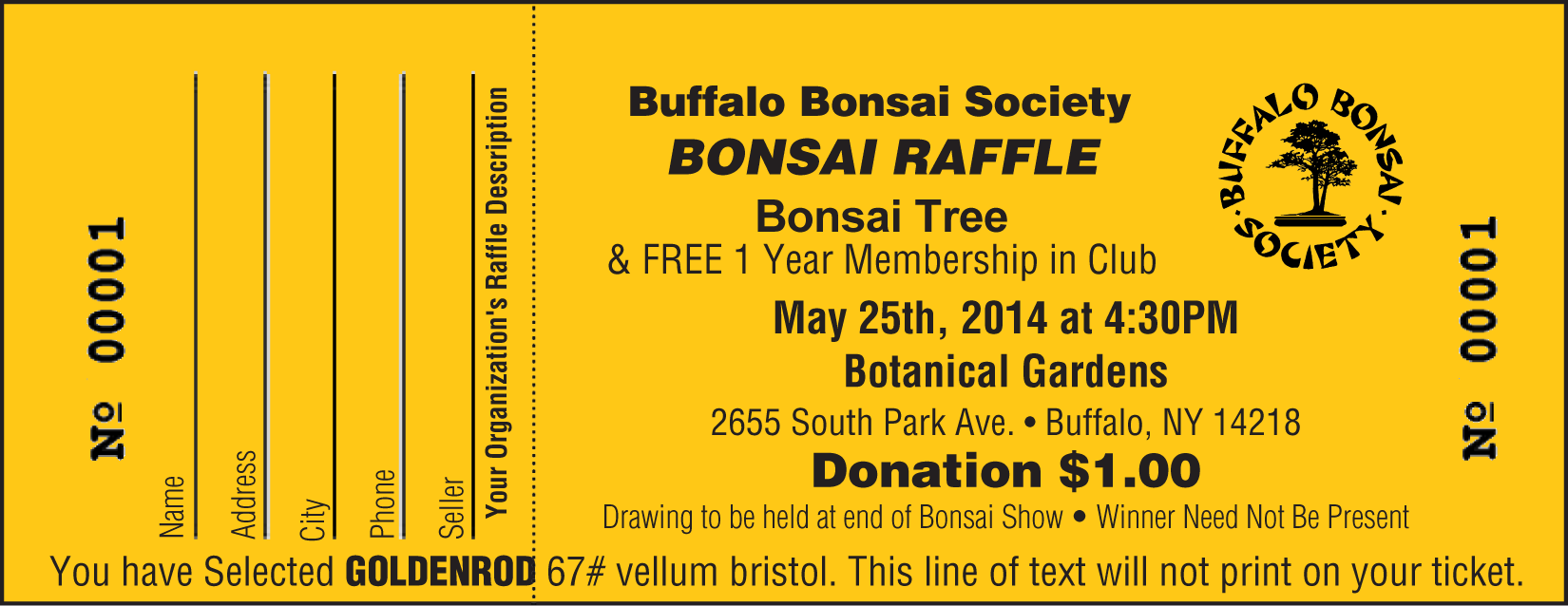 regular raffle tickets black ink